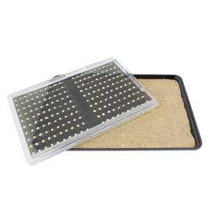 Seed Placement Tray for Cafeteria Sized Trays