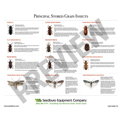 Grain Quality Posters
