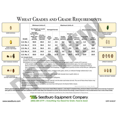 Grain Quality Posters