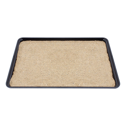 Germination Trays