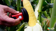 Load image into Gallery viewer, Scio In-Field Ear Corn Moisture Meter, Cloud Connected